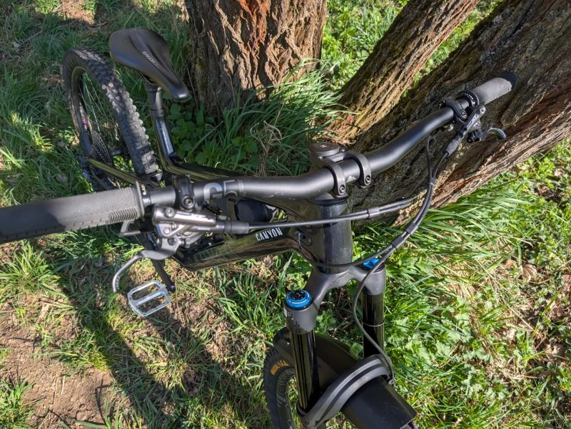 Canyon Torque Mullet cf 8