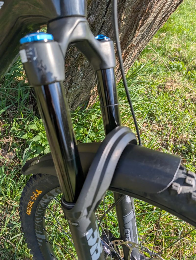 Canyon Torque Mullet cf 8