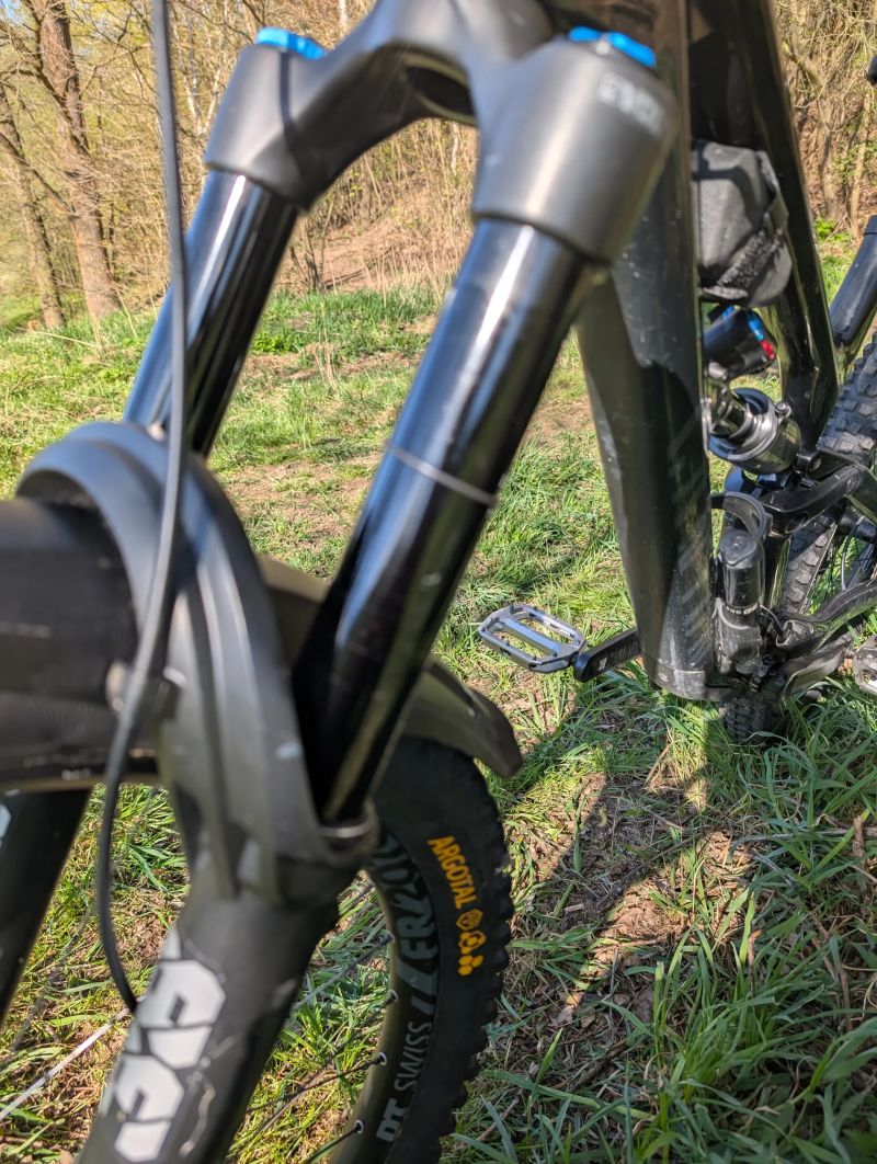 Canyon Torque Mullet cf 8