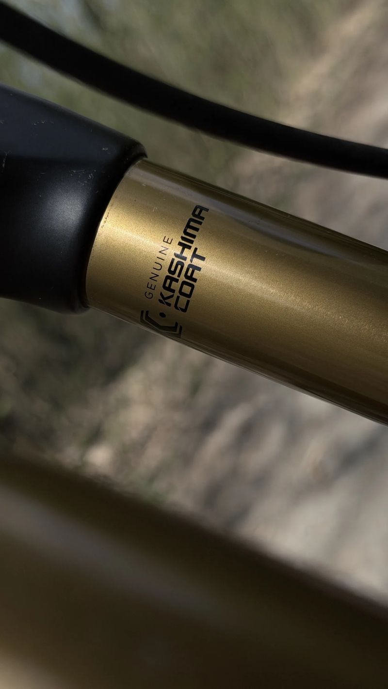 Giant GIANT TRANCE E+ SX 0 PRO