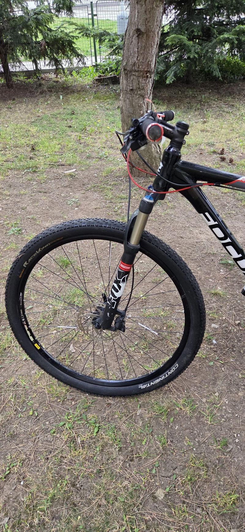 Focus Black Forest 1.0