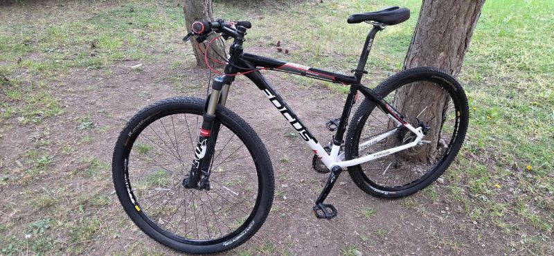 Focus Black Forest 1.0