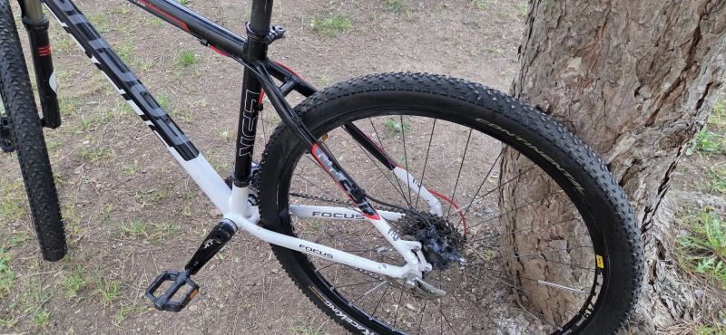 Focus Black Forest 1.0