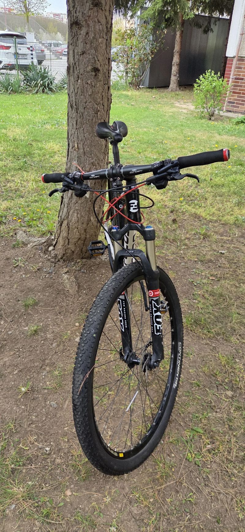 Focus Black Forest 1.0