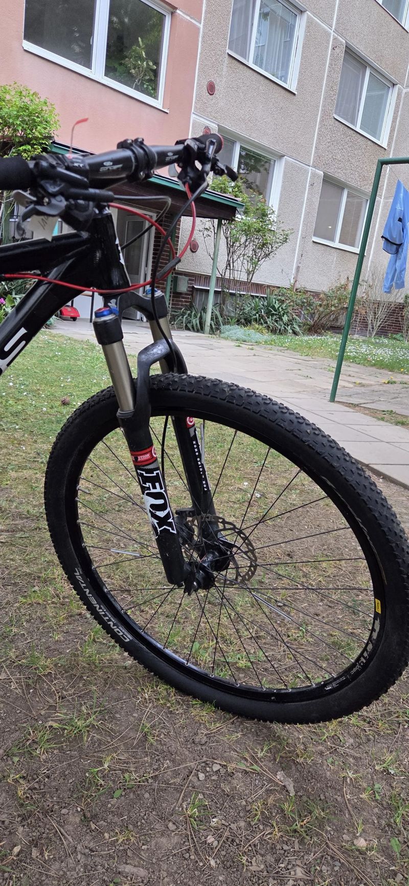 Focus Black Forest 1.0