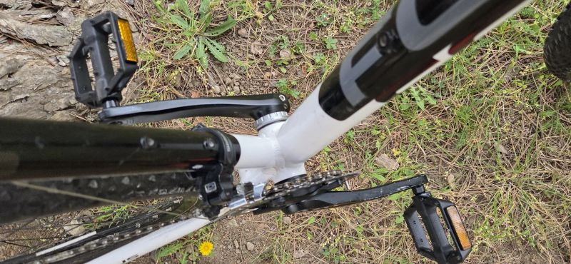 Focus Black Forest 1.0