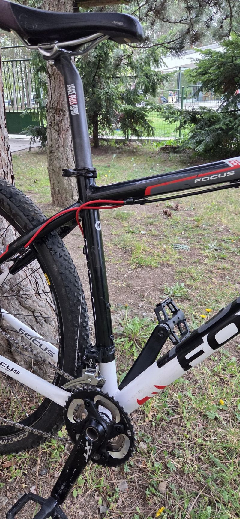 Focus Black Forest 1.0