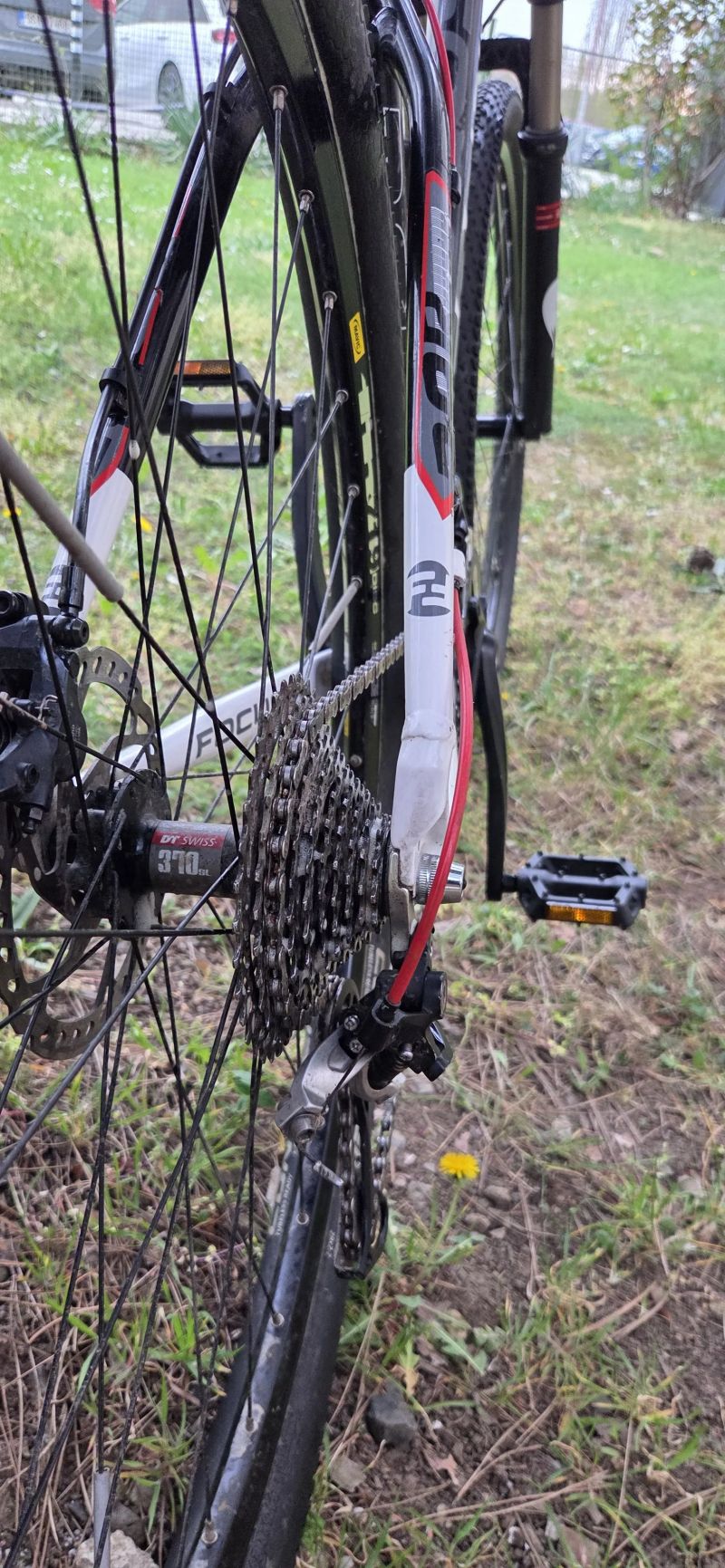 Focus Black Forest 1.0