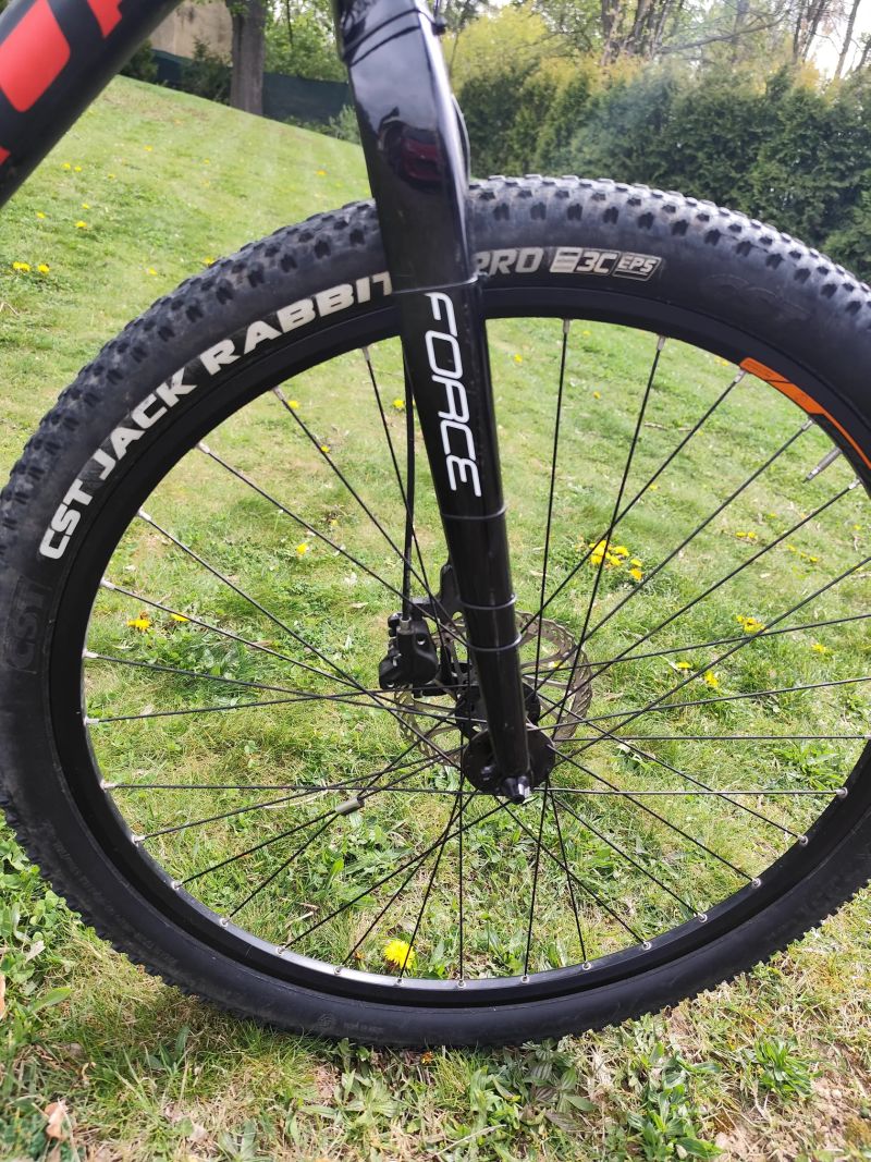 Focus Focus black forest