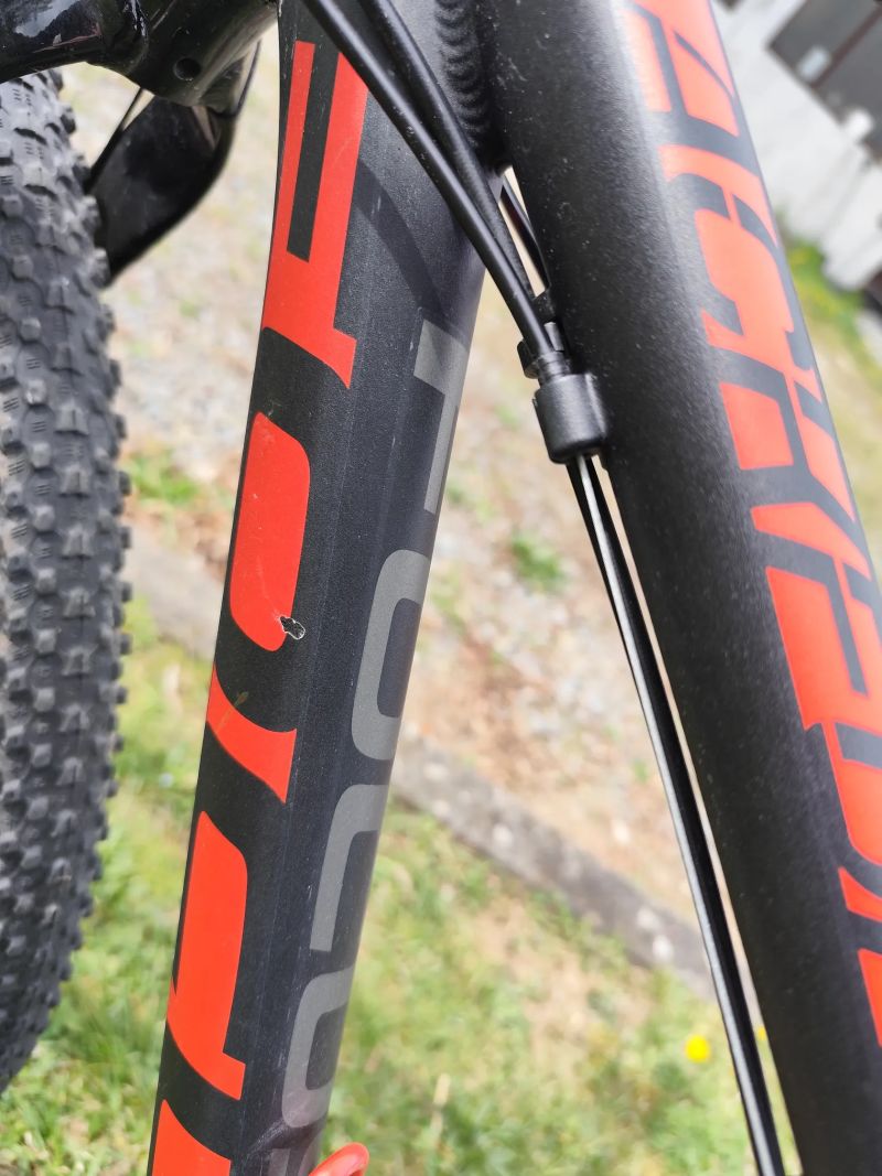 Focus Focus black forest