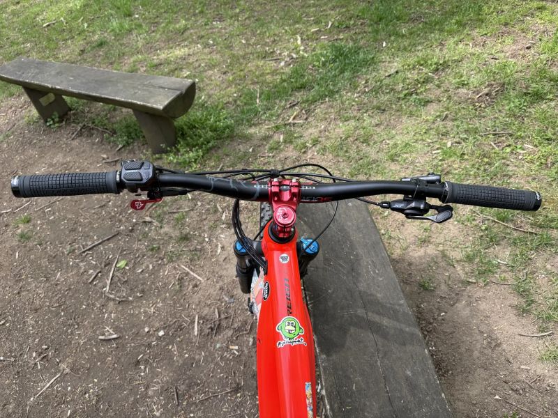 Giant Giant Reign E+1 Pro