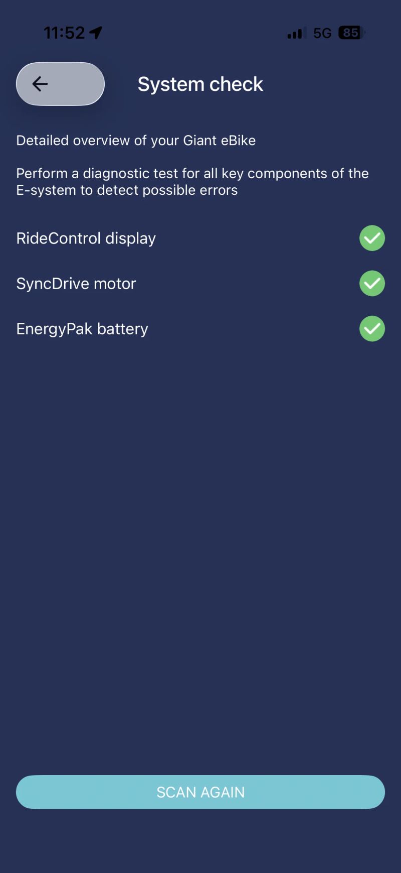 Giant Giant Reign E+1 Pro