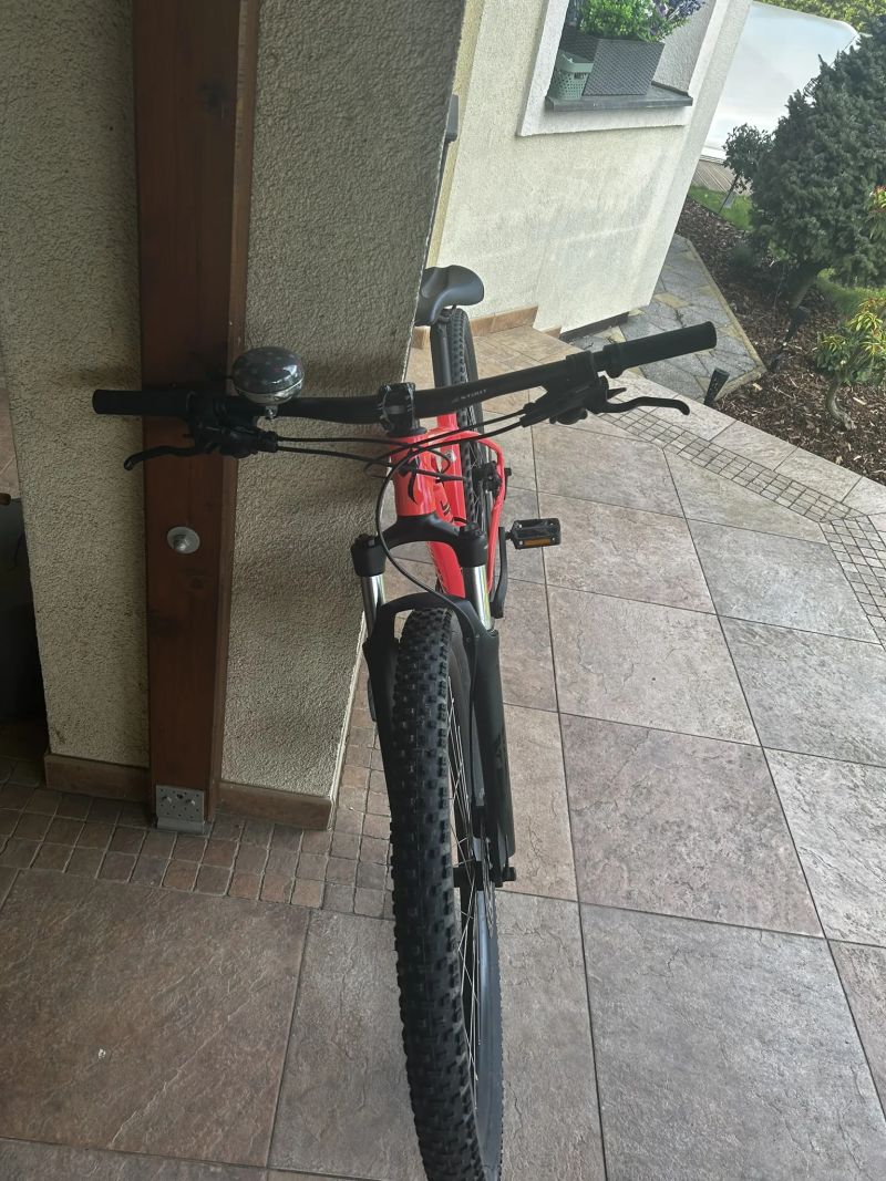 Specialized Rockhopper WMN Comp 2019 - 29" - S