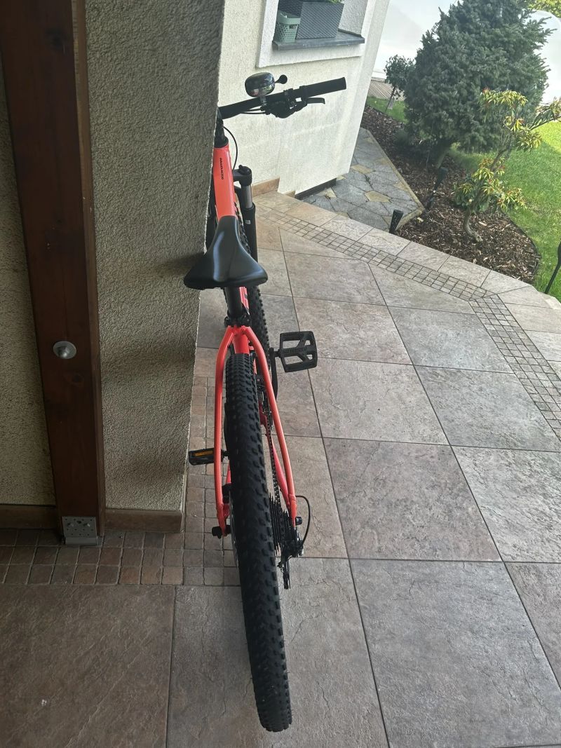 Specialized Rockhopper WMN Comp 2019 - 29" - S