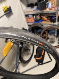 Schwalbe