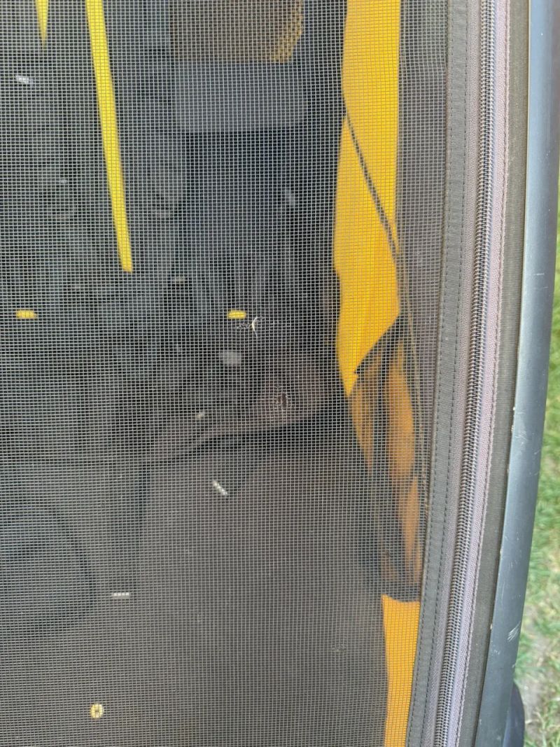 Thule Chariot Sport 2 