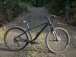 GT Avalanche Expert 2019