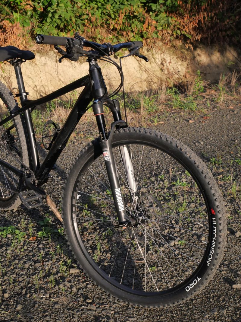 GT Avalanche Expert 2019