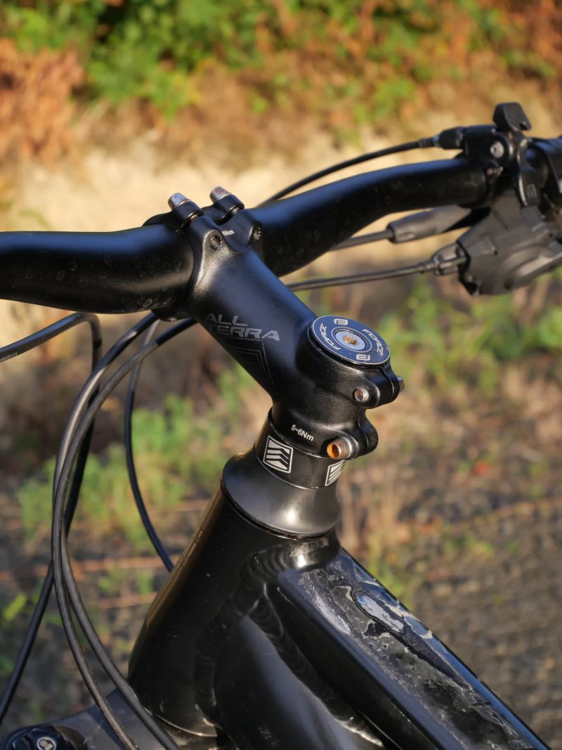 GT Avalanche Expert 2019