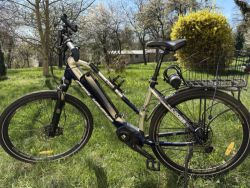 Crussis Oli Cross Lady 8.7