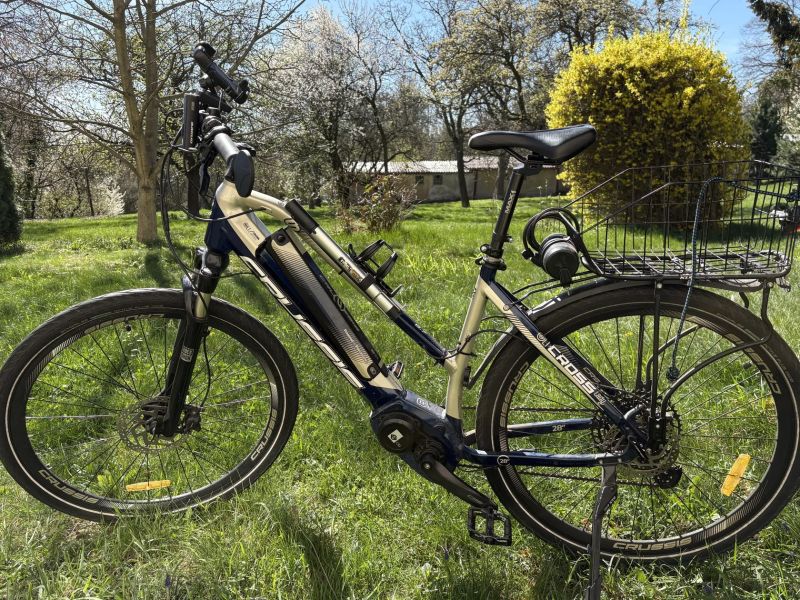 Crussis Oli Cross Lady 8.7