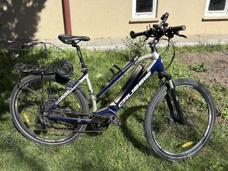 Crussis Oli Cross Lady 8.7