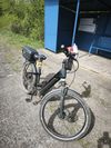Winora Yakun 10