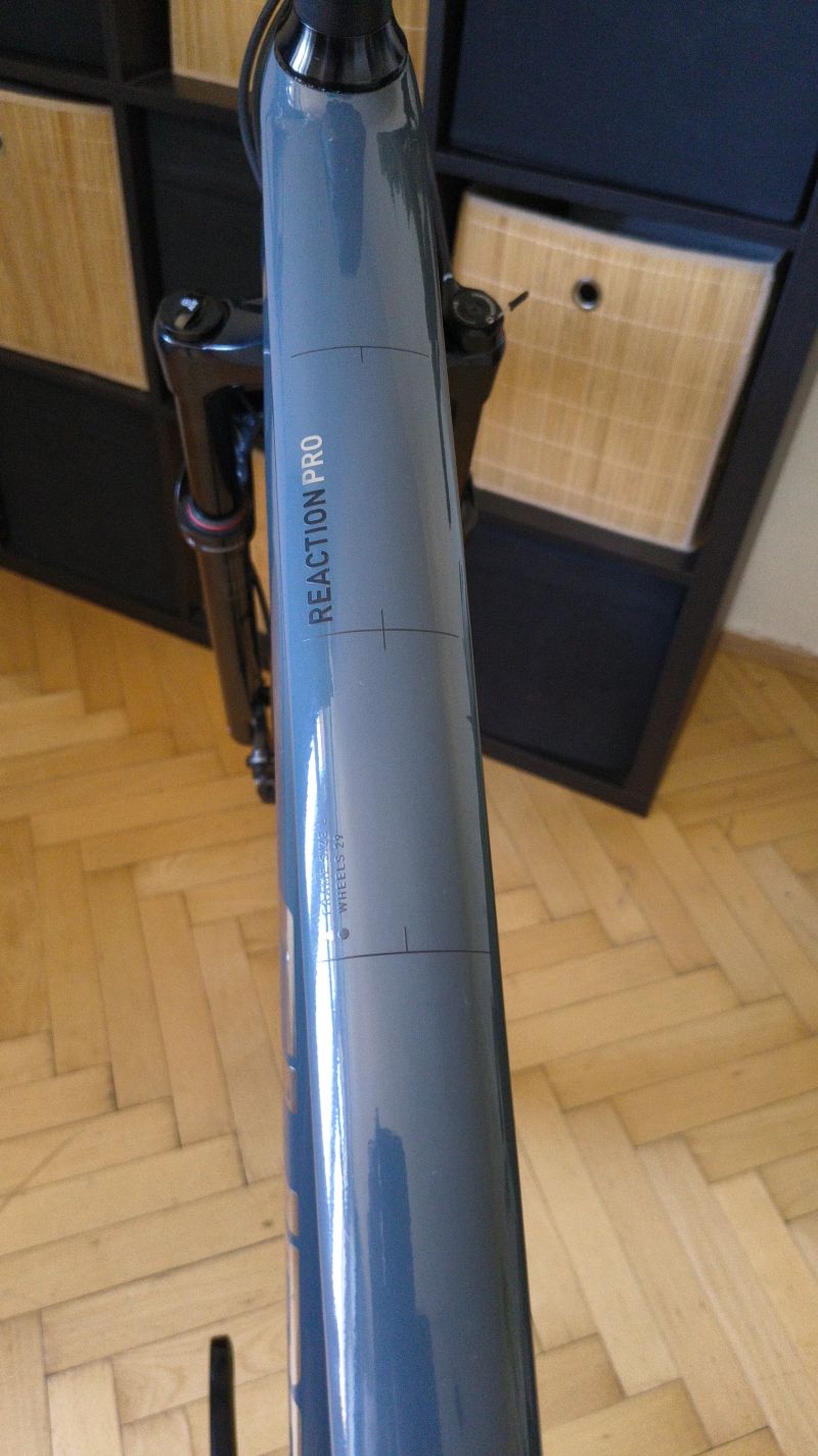 Cube C:62 Reaction Pro /vel.L/ XT 1x12