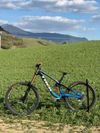 Trek Session MX