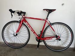 Focus Cayo AL (2018) – Velikost S