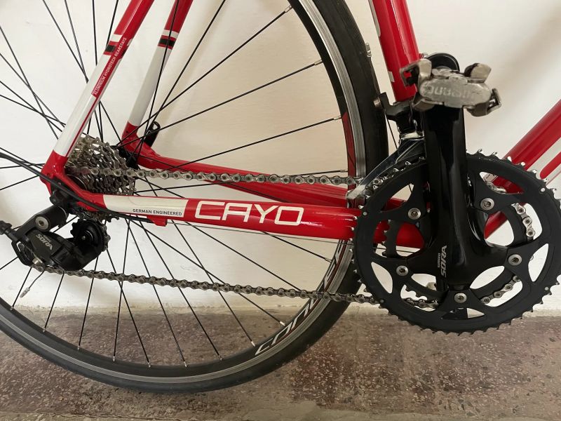 Focus Cayo AL (2018) – Velikost S