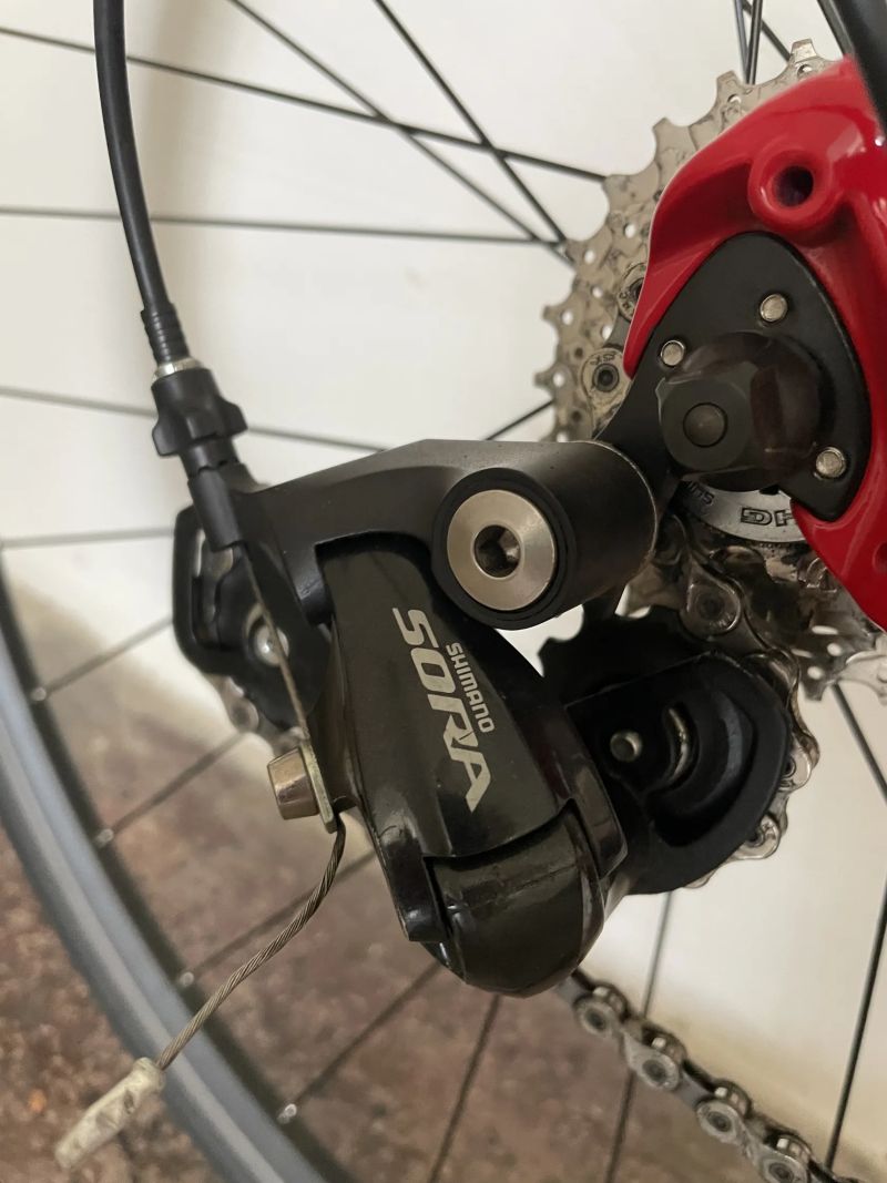 Focus Cayo AL (2018) – Velikost S