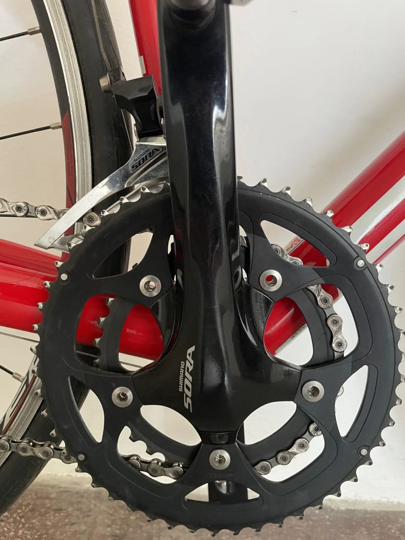 Focus Cayo AL (2018) – Velikost S