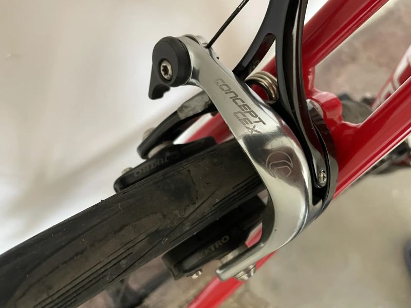 Focus Cayo AL (2018) – Velikost S