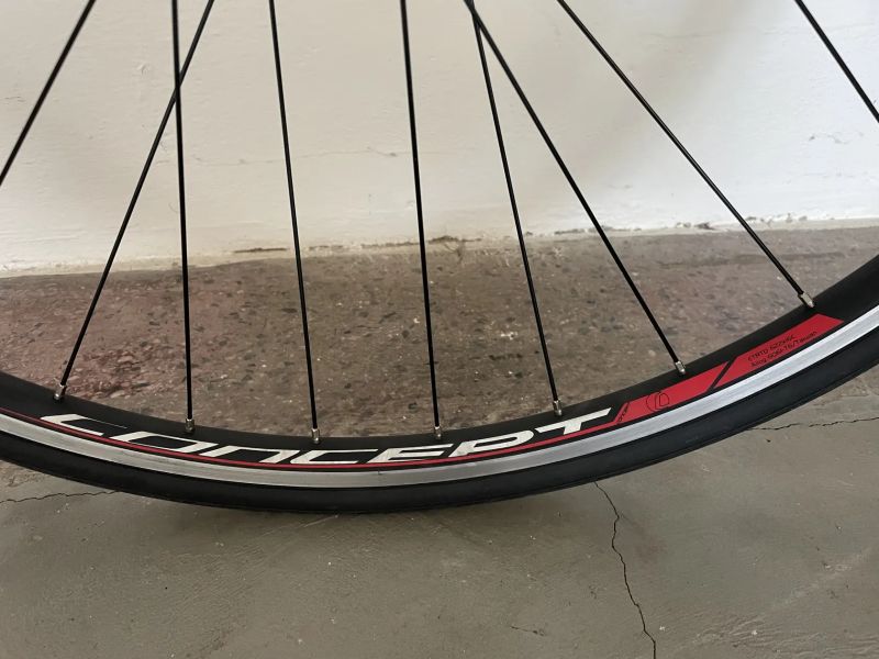 Focus Cayo AL (2018) – Velikost S