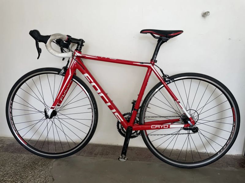 Focus Cayo AL (2018) – Velikost S