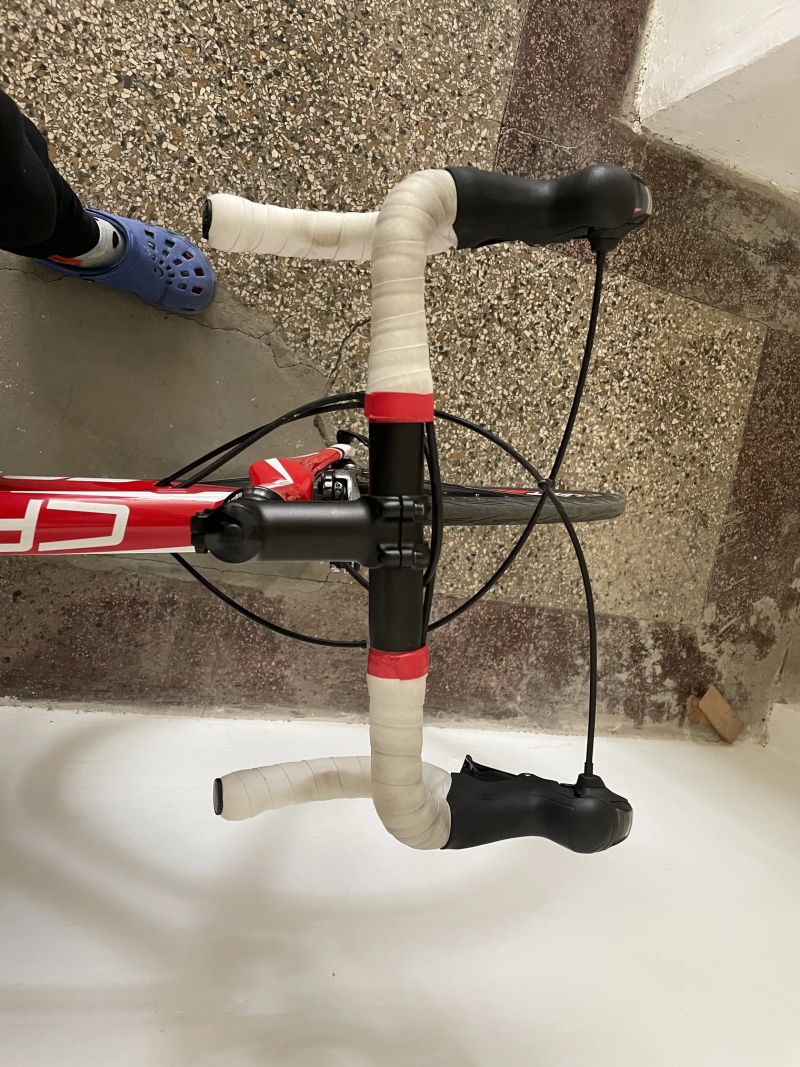 Focus Cayo AL (2018) – Velikost S