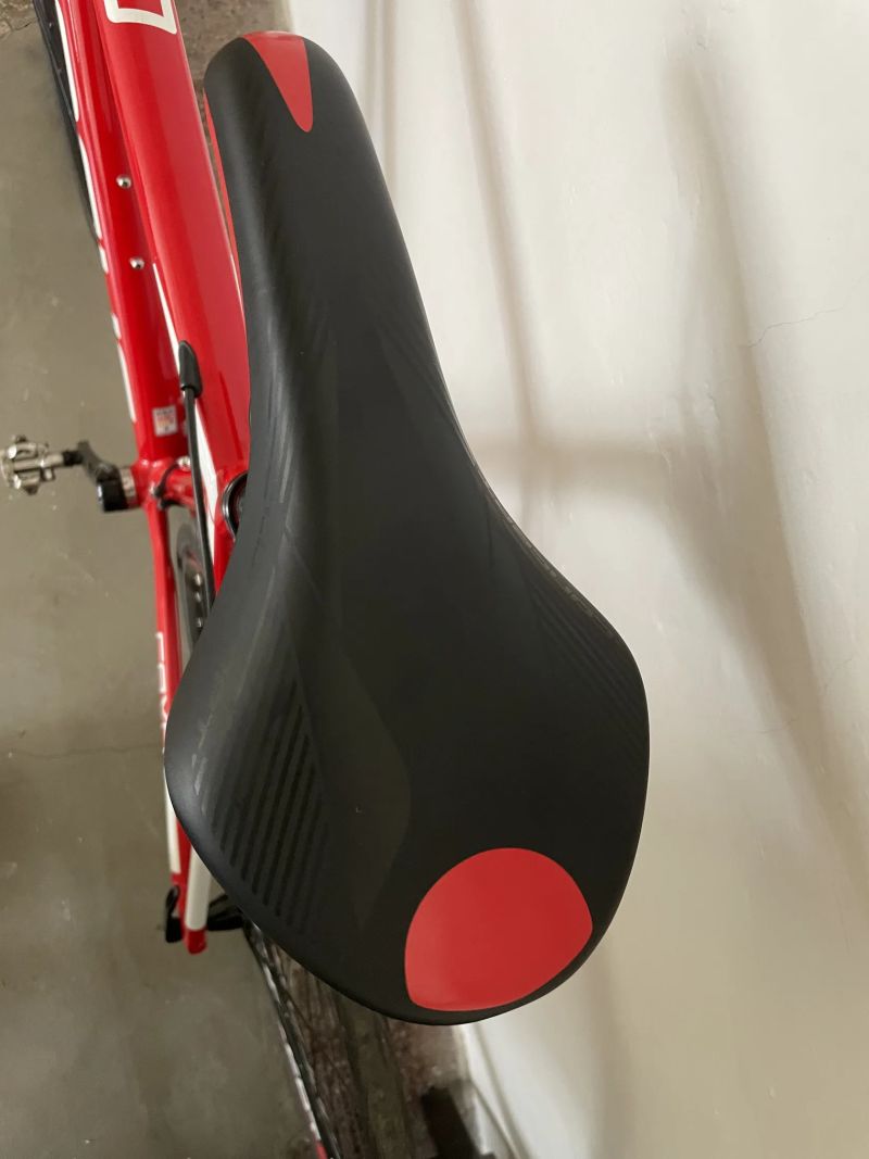 Focus Cayo AL (2018) – Velikost S