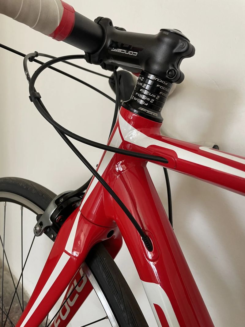 Focus Cayo AL (2018) – Velikost S