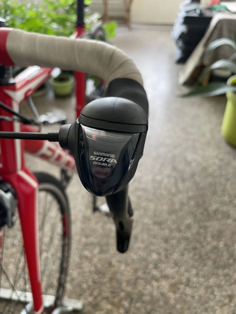 Focus Cayo AL (2018) – Velikost S