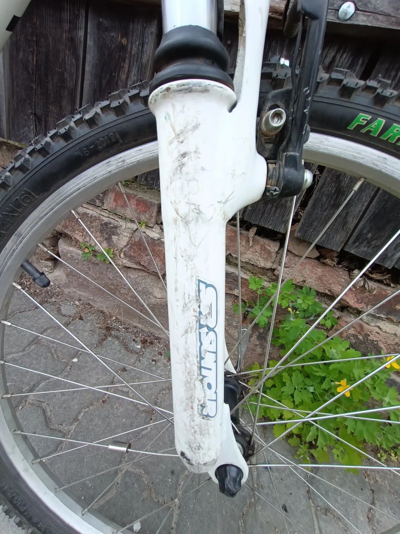 Pells Razzer 24 Replica