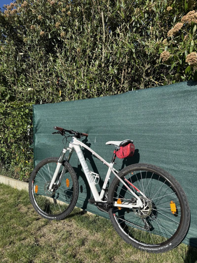 Horské kolo PELLS RAZER 1