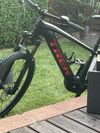 Trek Powerfly 5