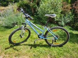 Trek WSD Skye Series