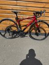 Trek Domane AL2 