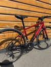 Trek Domane AL2 