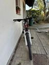 Trek SKYE SL