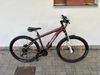 Trek SKYE SL