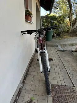 Trek SKYE SL