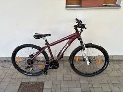Trek SKYE SL
